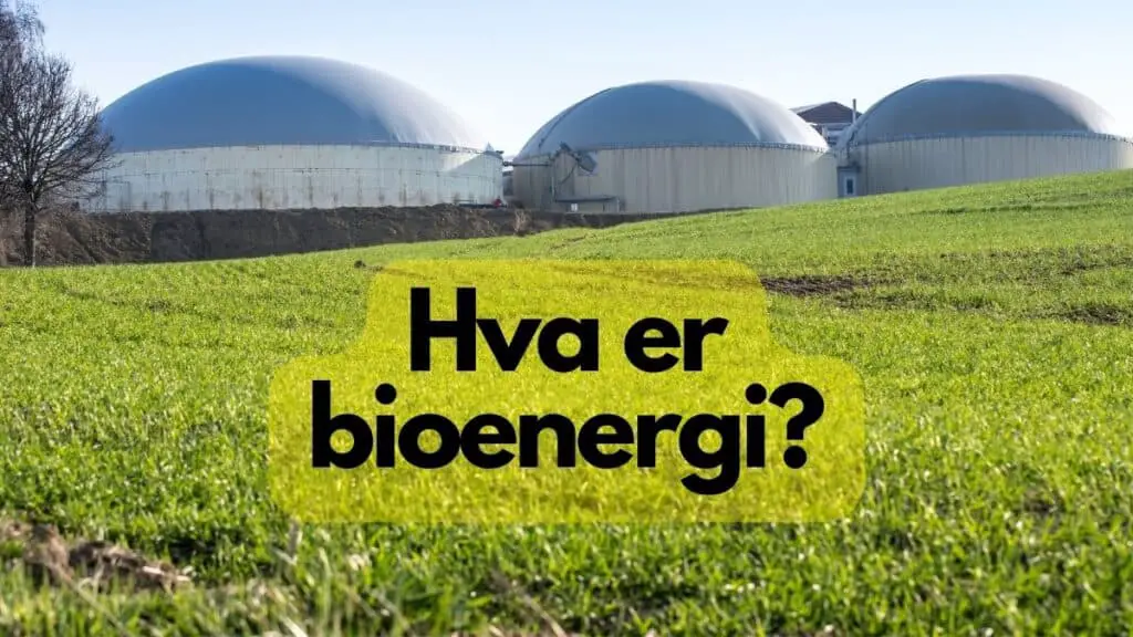 Hva er bioenergi?