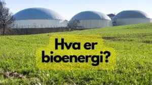 Hva er bioenergi?