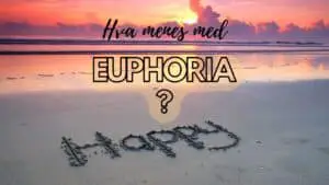 Hva menes med Euphoria?